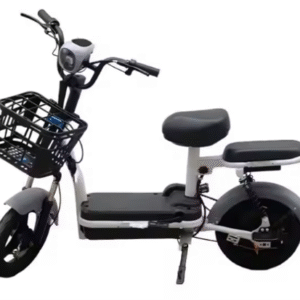 MOTO ELECTRIQUE E-BIKE DE MARQUE SKYS