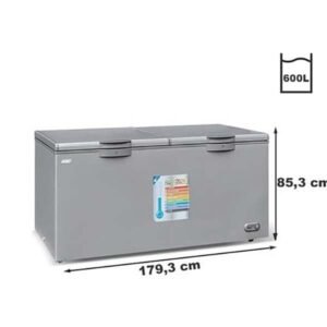CONGELATEUR COUCHE 600 LITRES SMART TECHNOLOGY GARANTIE : 12 mois